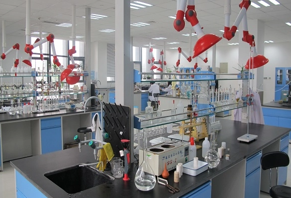 ワイファンジュード（1）