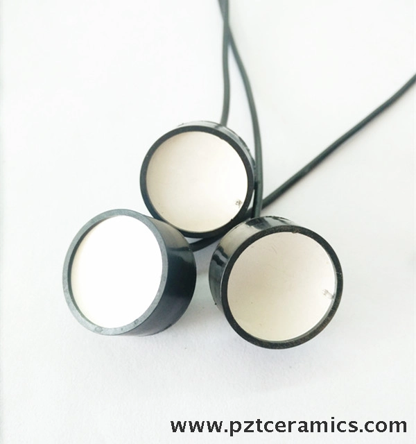 超音波焦点トランスデューサー-3